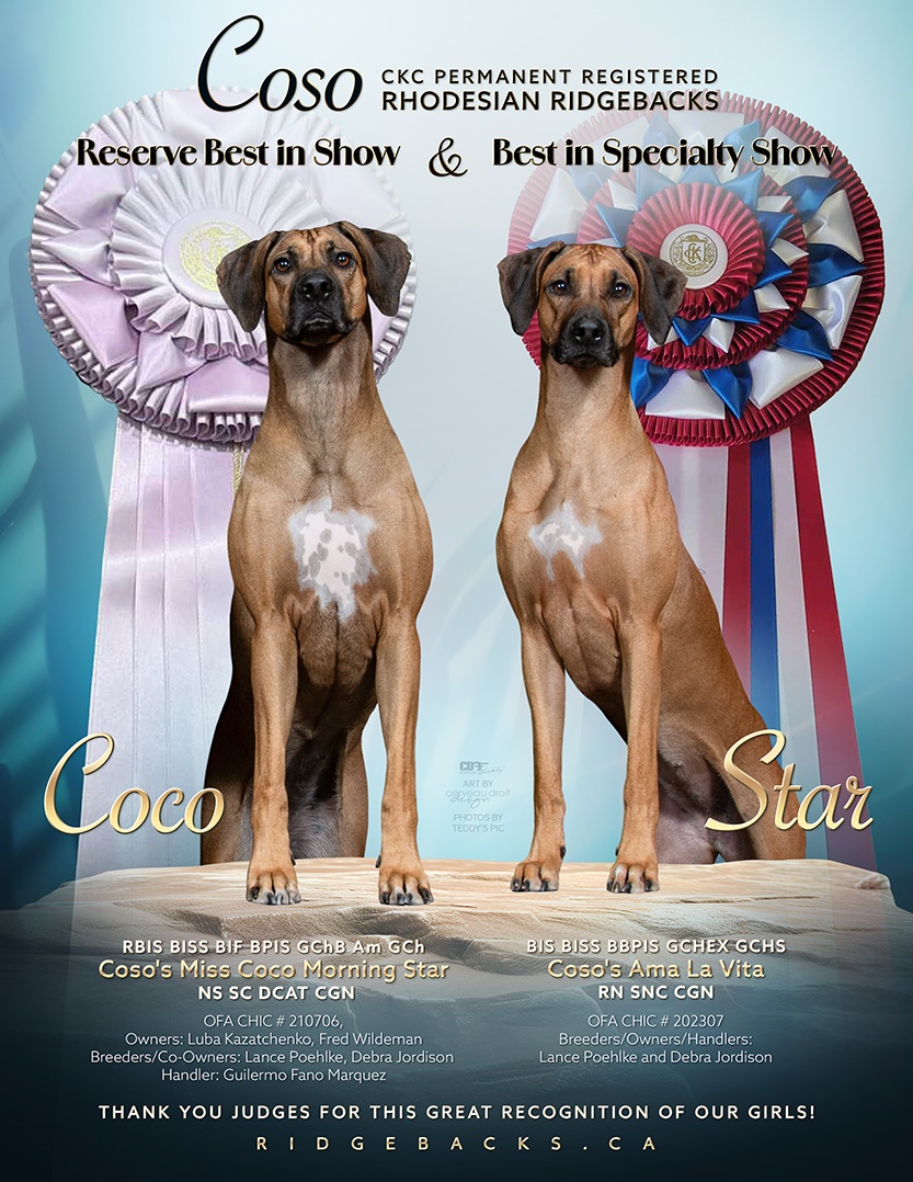 Geo Riley Announcement